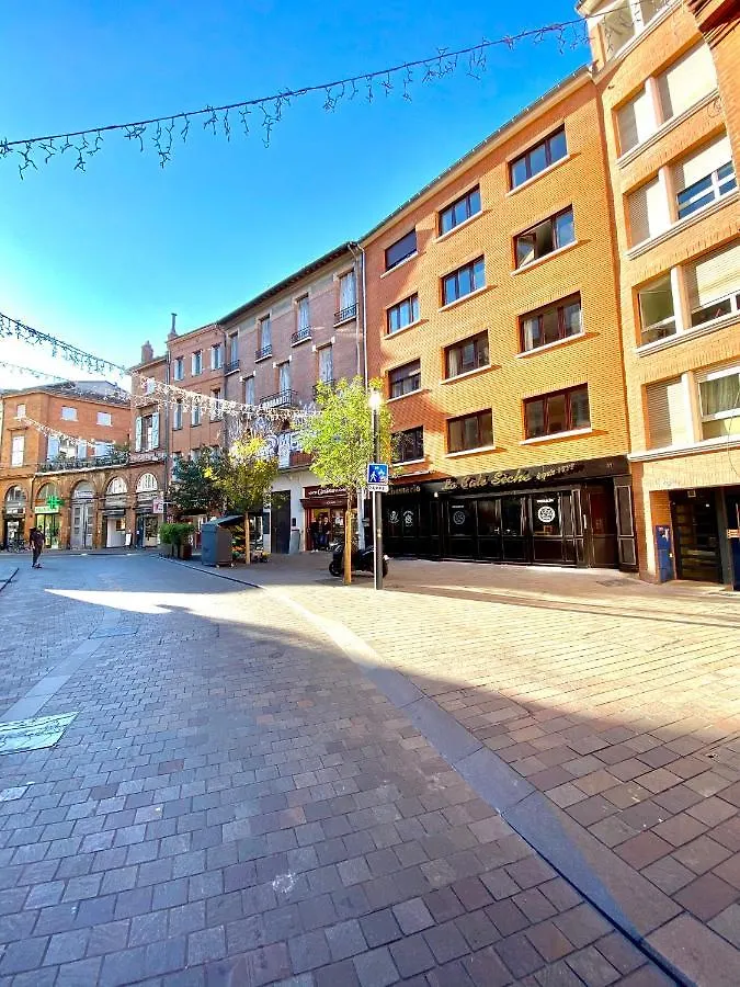 Apartamento Le Capitole - Appartement Hypercentre Avec Chambre Toulouse